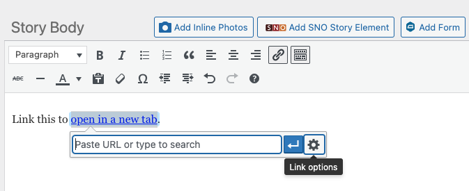 Hyperlink - Link Options.png